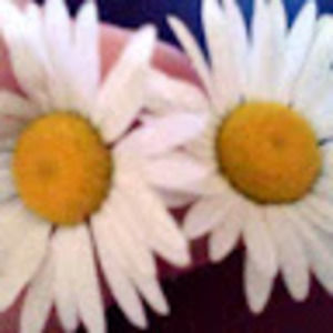 Meet your Posher, Caroline